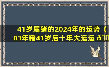 41岁属猪的2024年的运势（83年猪41岁后十年大运运 🐈 程）